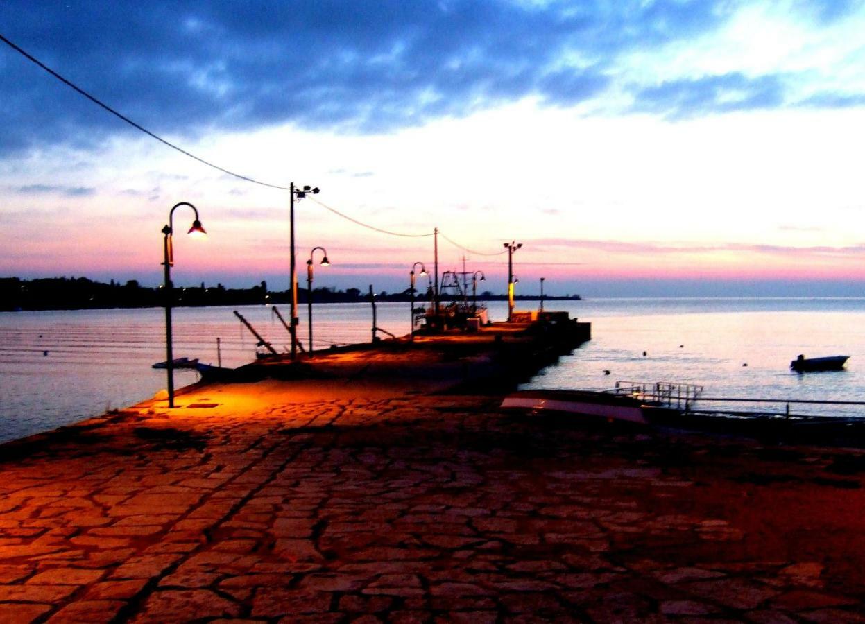 شقة App Segi Novigrad Istria المظهر الخارجي الصورة